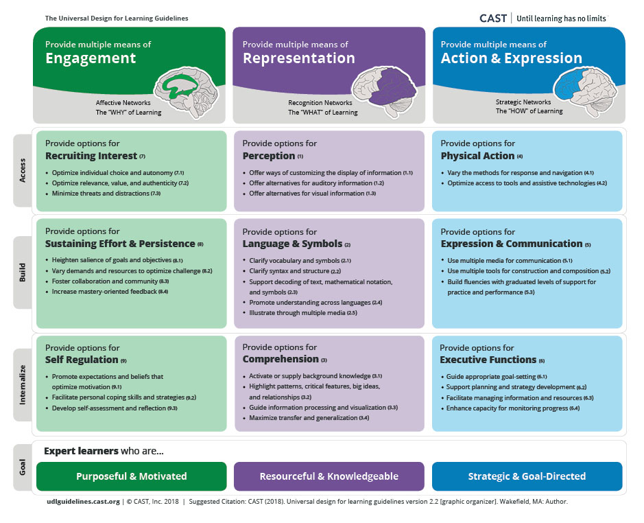 This is a PDF of the UDL guidelines. Multiple version are available from: http://udlguidelines.cast.org/more/downloads One of these may better meet your needs.
