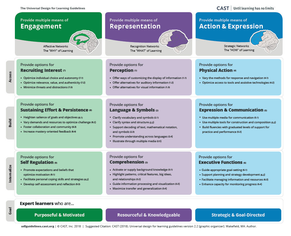 UDL Guidelines graphic organizer